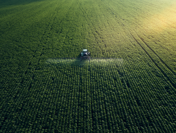 сельское хозяйство